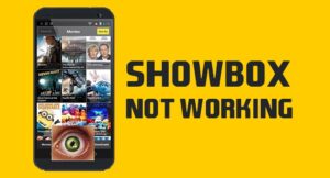 Solve Showbox app