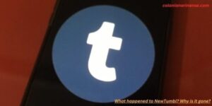 What happened to NewTumbl? Why is it gone