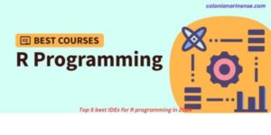 Top 5 best IDEs for R programming in 2024