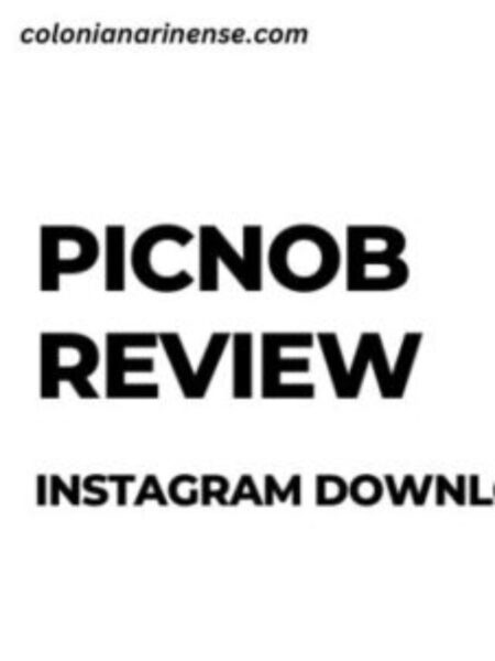 Picnob: The ultimate Instagram viewer