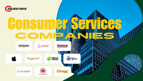 Consumer Services Companies