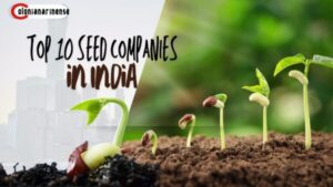 Top 10 Leading Seed Companies in India