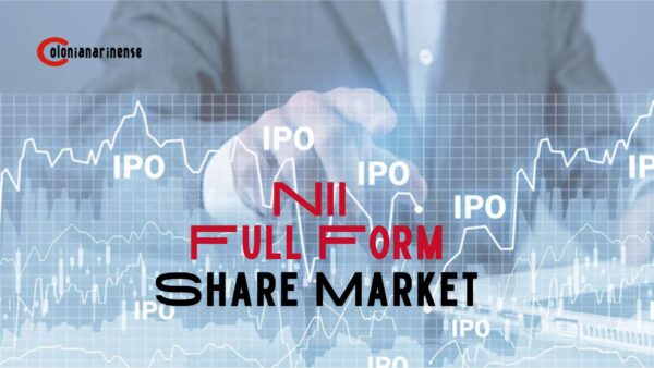 NII Full Form in the Share Market