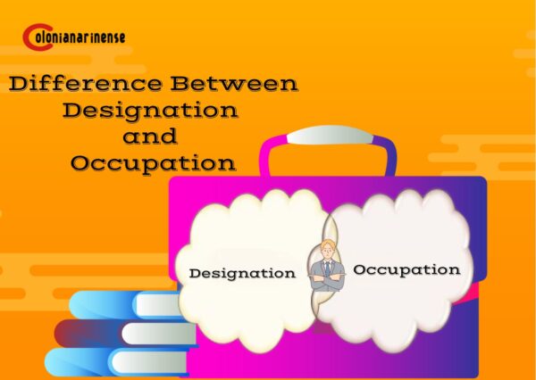 Difference Between Designation and Occupation