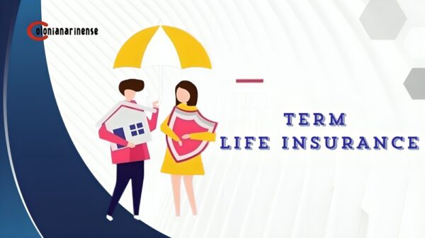 Term Life Insurance