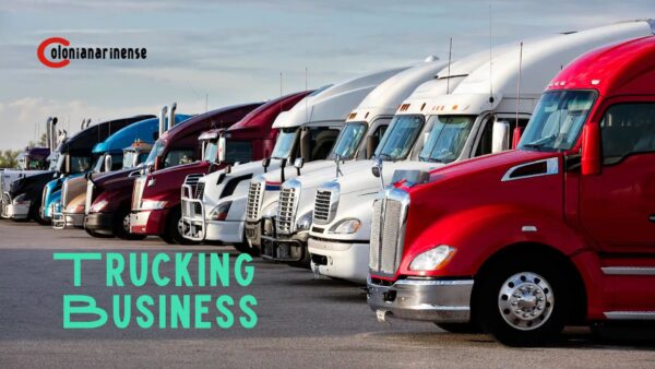 Trucking Business