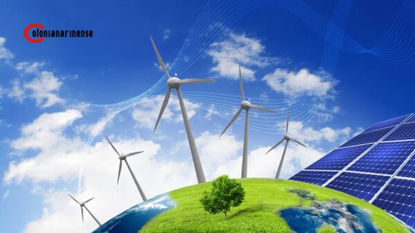 Renewable Energy Companies in India