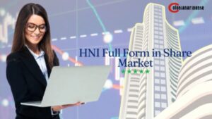 HNI Full Form in Share Market