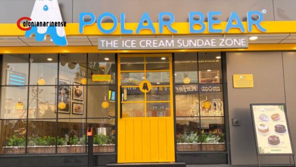 Polar Bear Franchise Cost in India