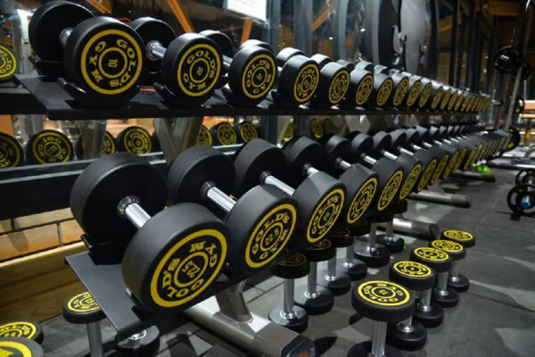 Gold Gym Franchise in India